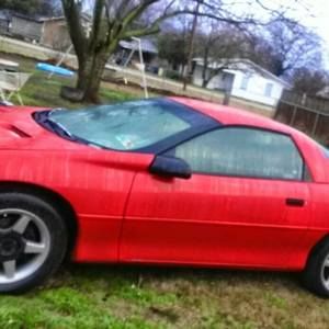 Meet your Posher, Bobby